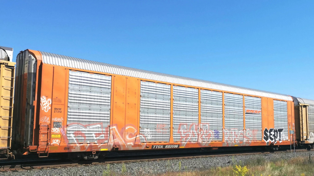 BNSF 27312 (Body) TTGX 693596 (Flat)